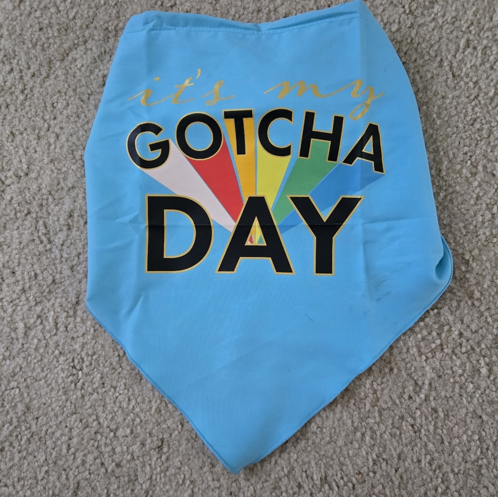 Colorful 'Gotcha Day' Dog Bandana